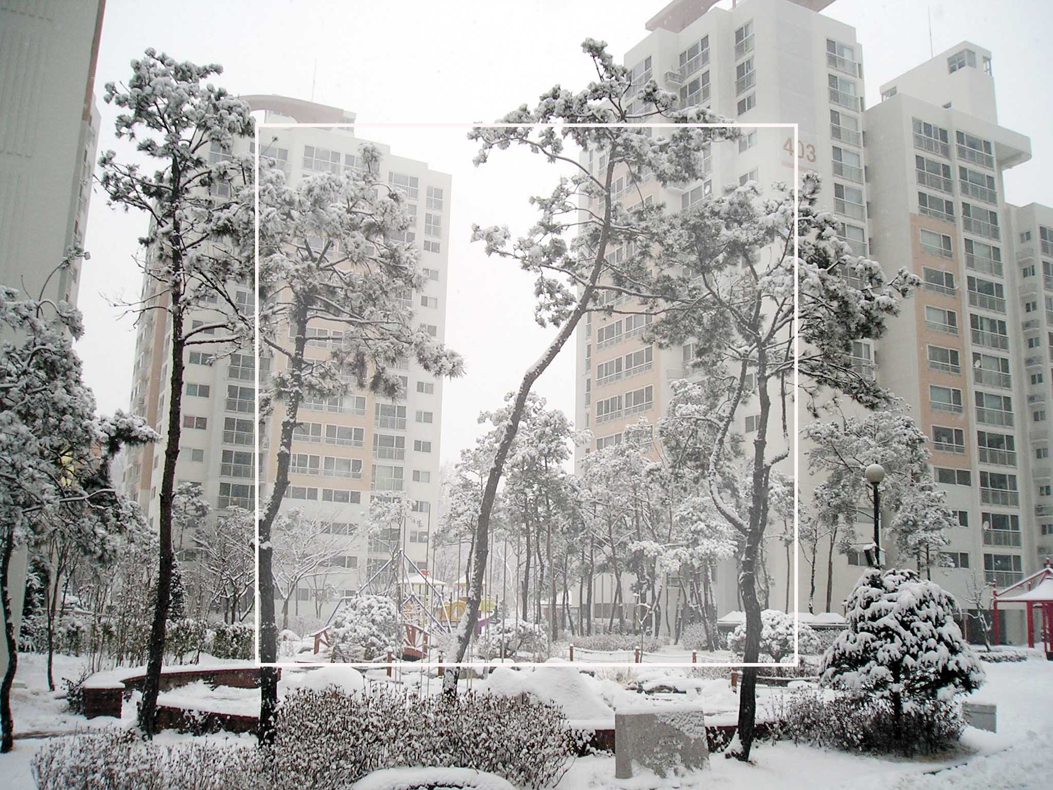 �������� - ������������