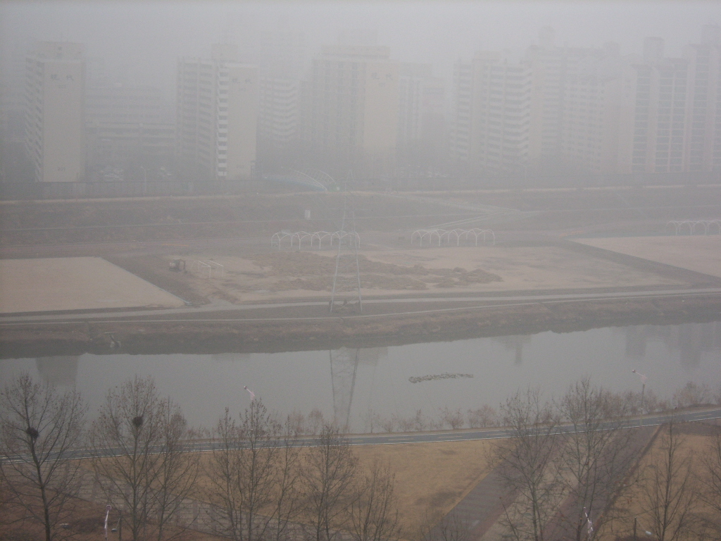 �ܺ����� - ��