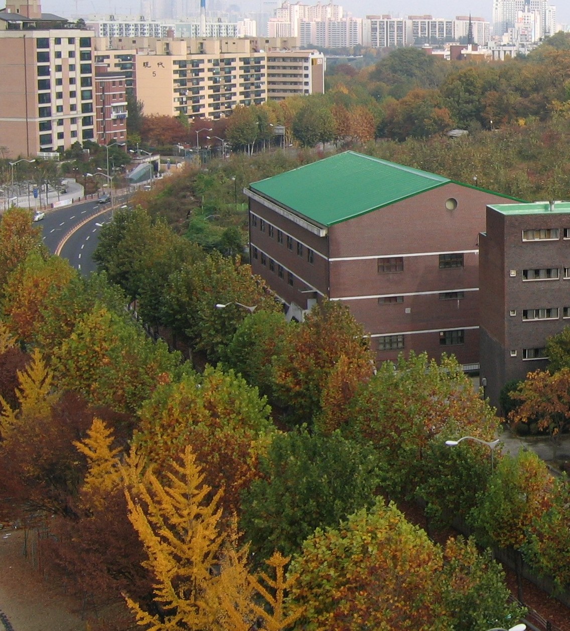 �����ֺ��ü� - �ֺ�����