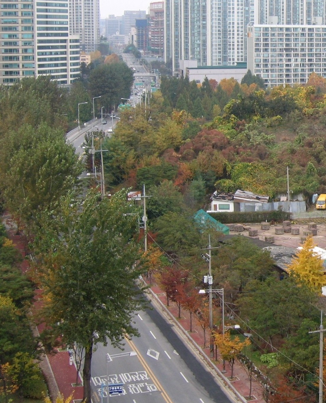 �����ֺ��ü� - �ֺ�����