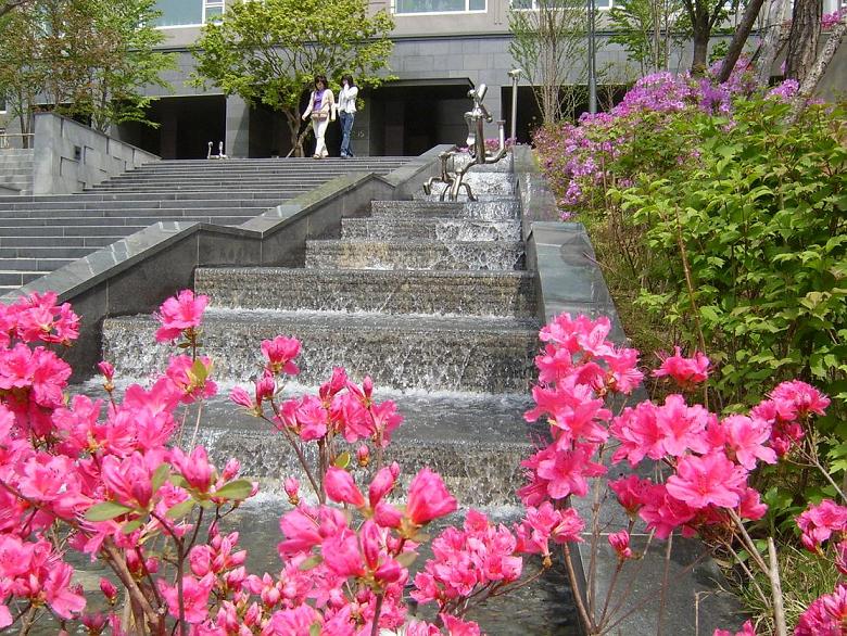 �������� - ������������