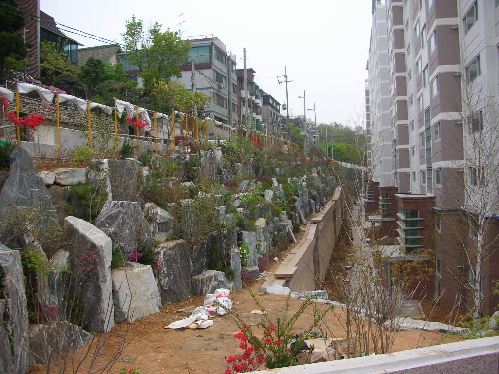 �������� - �����Ա�����