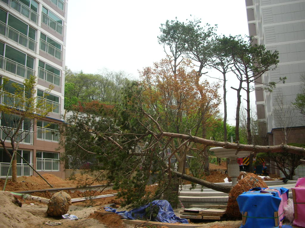 �������� - ������������