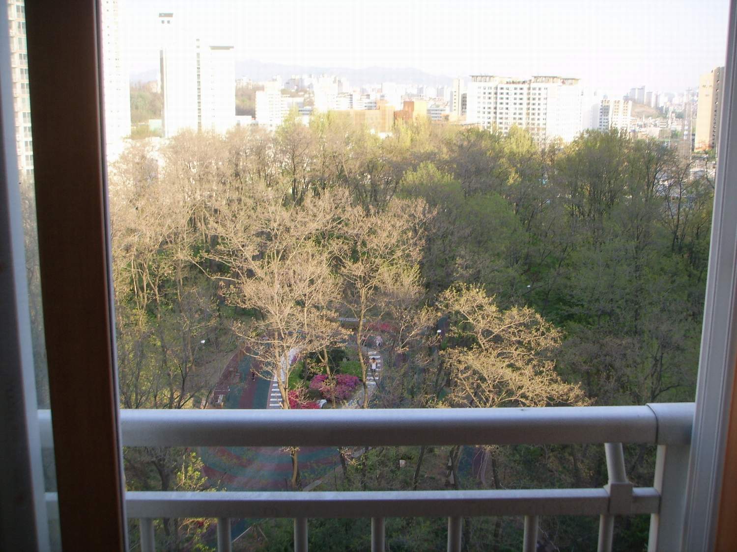 �ܺ����� - ��