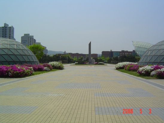 ֺü - ް/