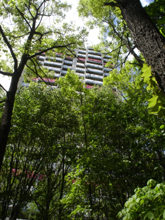 �������� - ������������