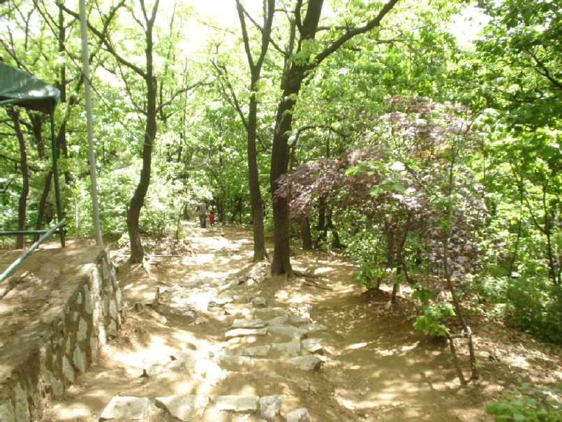 �������ü� - ��å��(����)