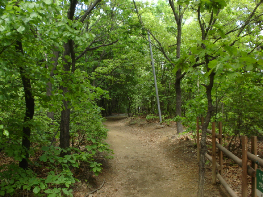 �������ü� - ��å��(����)