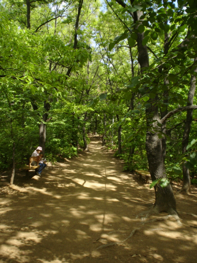 �������ü� - ��å��(����)