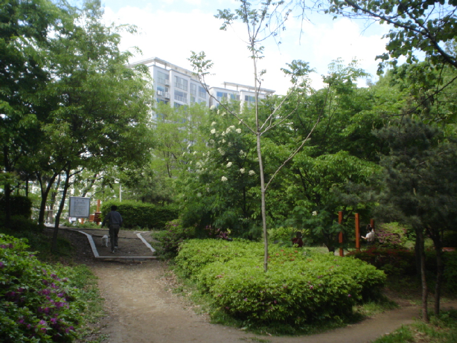 �������ü� - ��å��(����)