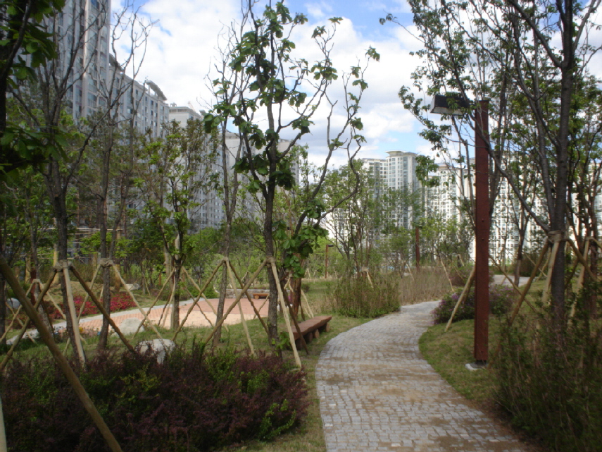 �������ü� - ��å��(����)