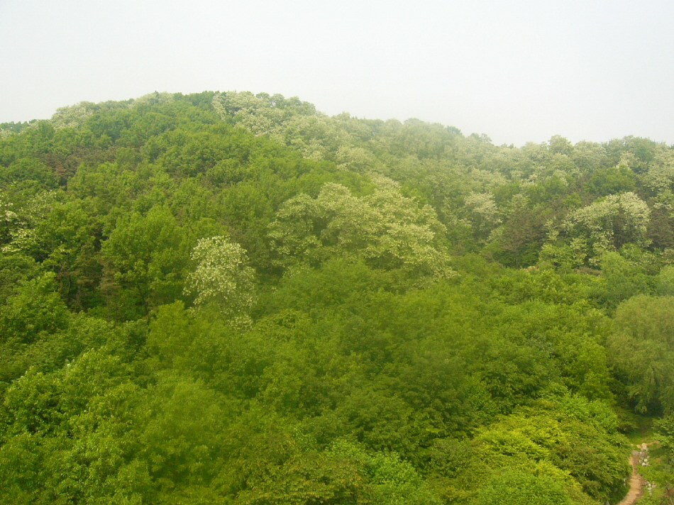 �ܺ����� - ��