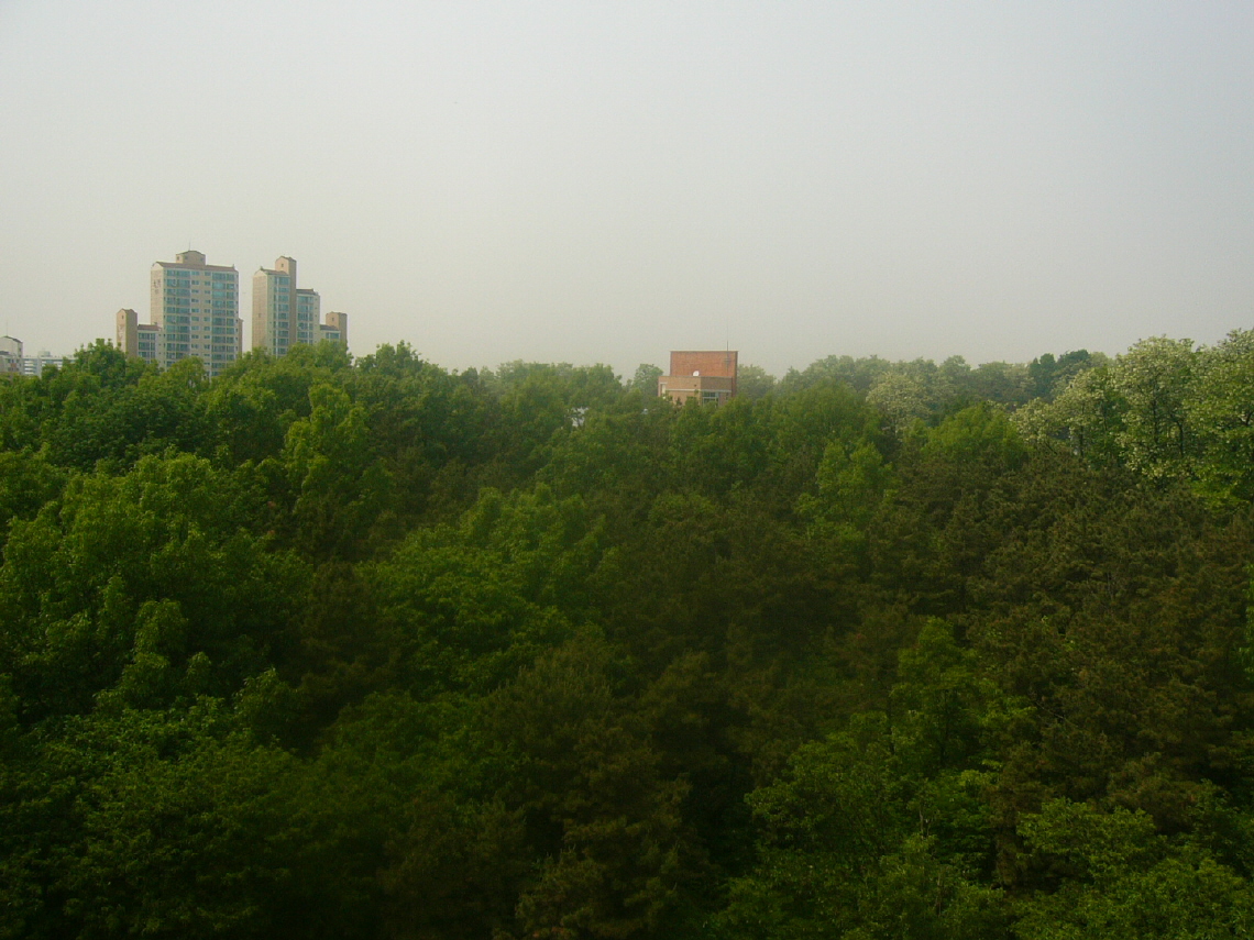 �ܺ����� - ��