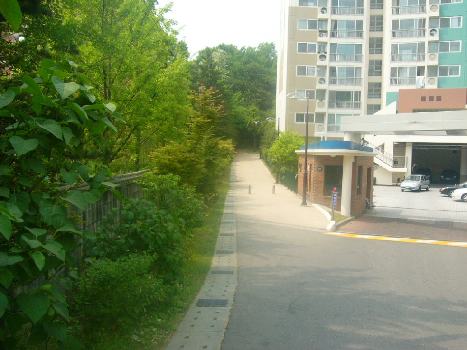 �������ü� - ��å��(����)