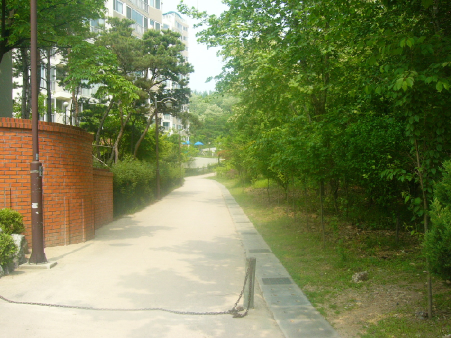 �������ü� - ��å��(����)