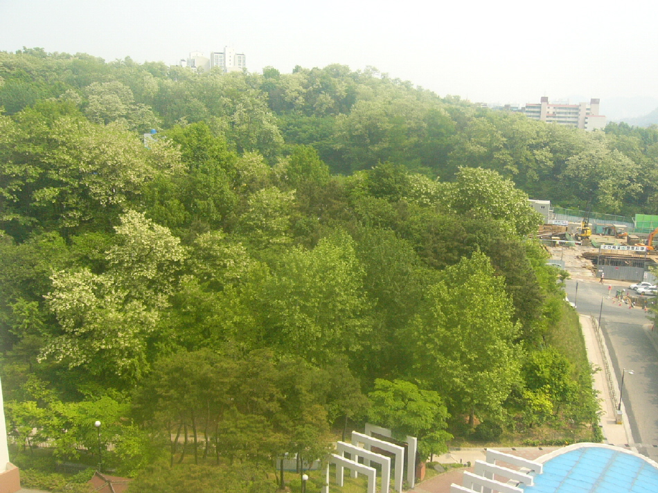 �ܺ����� - ��