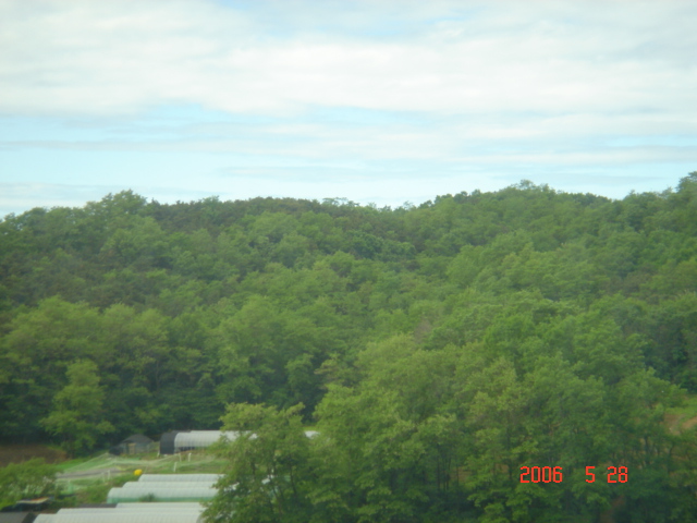 �ܺ����� - ��