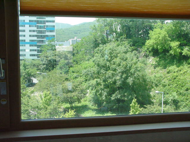 부산광역시 수영구 남천동 뉴비치 | 부동산뱅크 단지뱅크