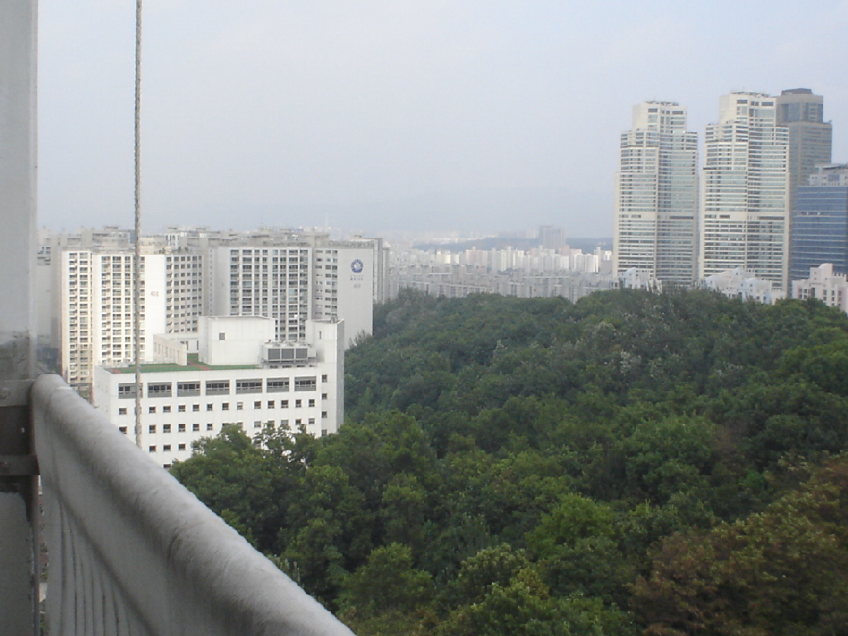 �ܺ����� - ��