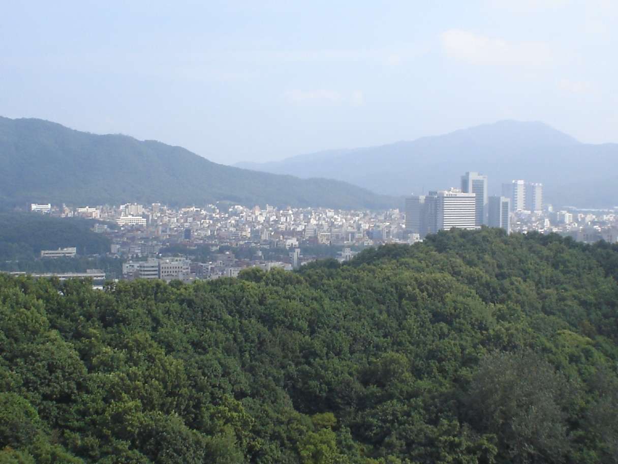 �ܺ����� - ��