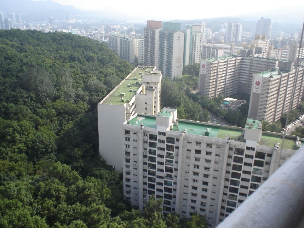 �ܺ����� - ��