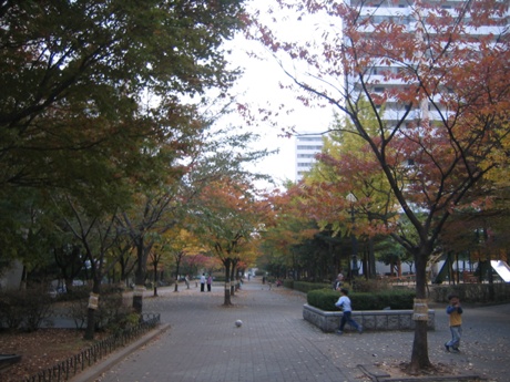 �������� - ������������