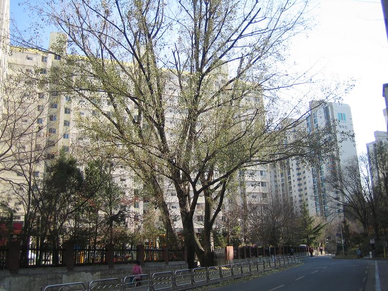 �������� - ������������