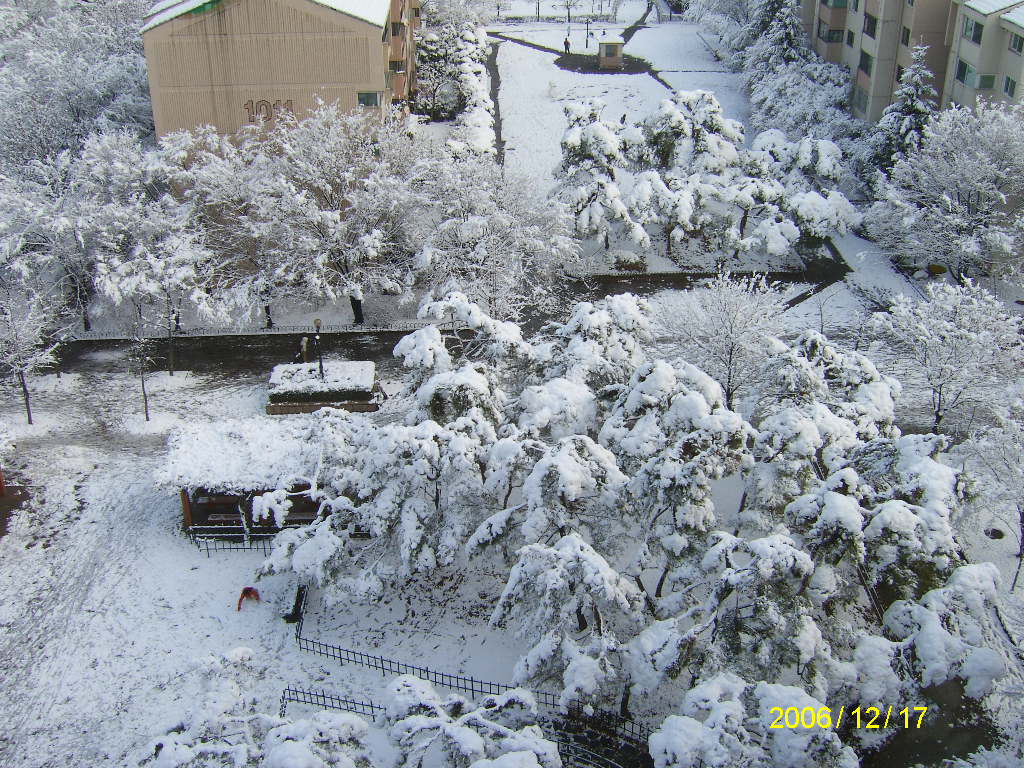 �������� - ������������