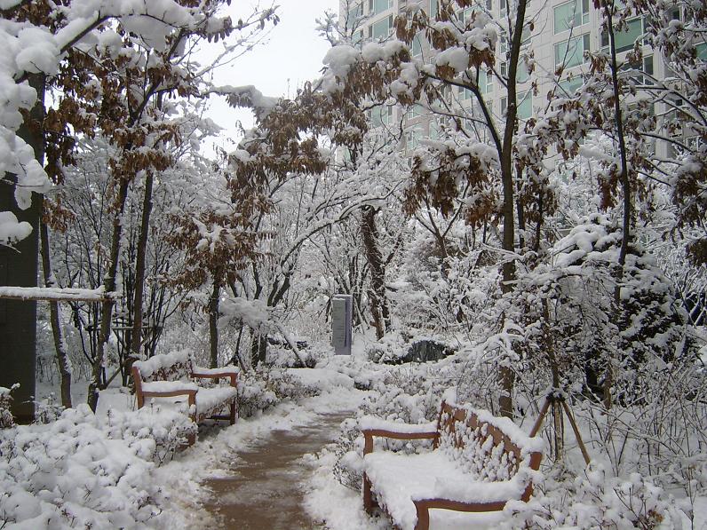 �������ü� - ��å��(����)