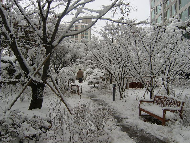 �������ü� - ��å��(����)