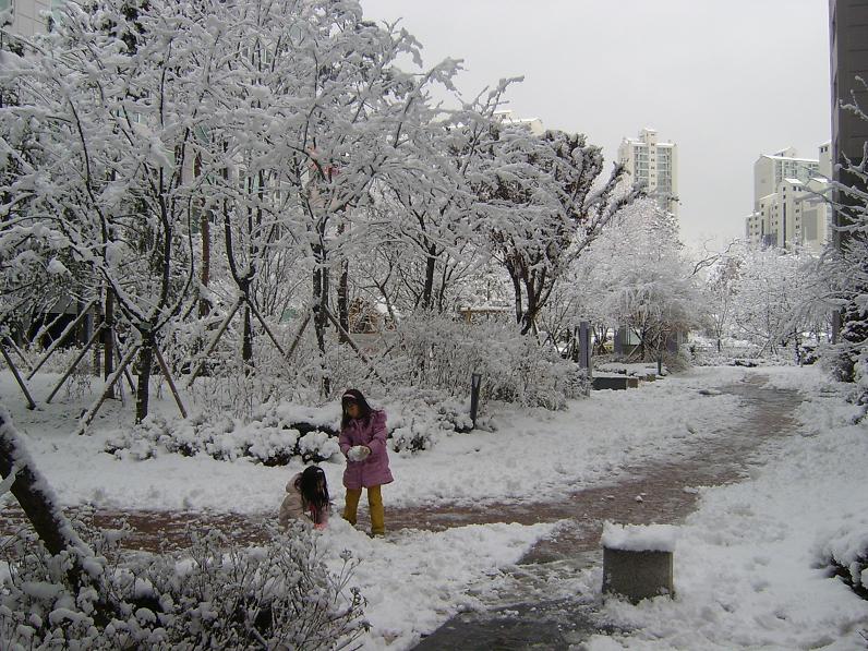 �������ü� - ��å��(����)