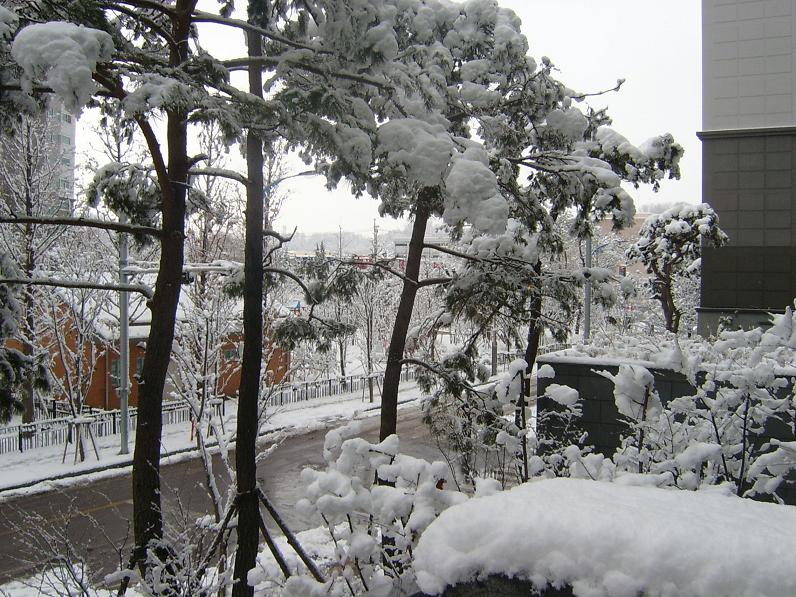 �������� - ������������