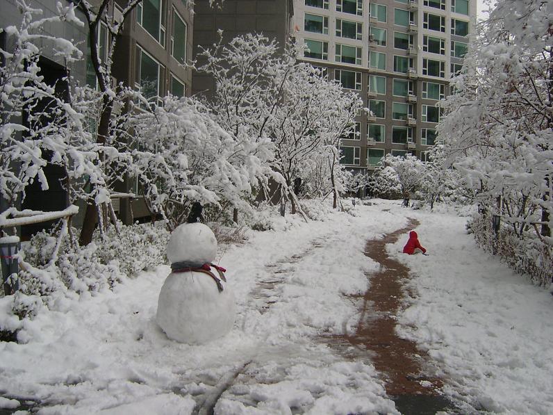 �������ü� - ��å��(����)