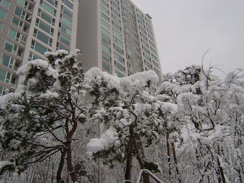 �������� - ������������