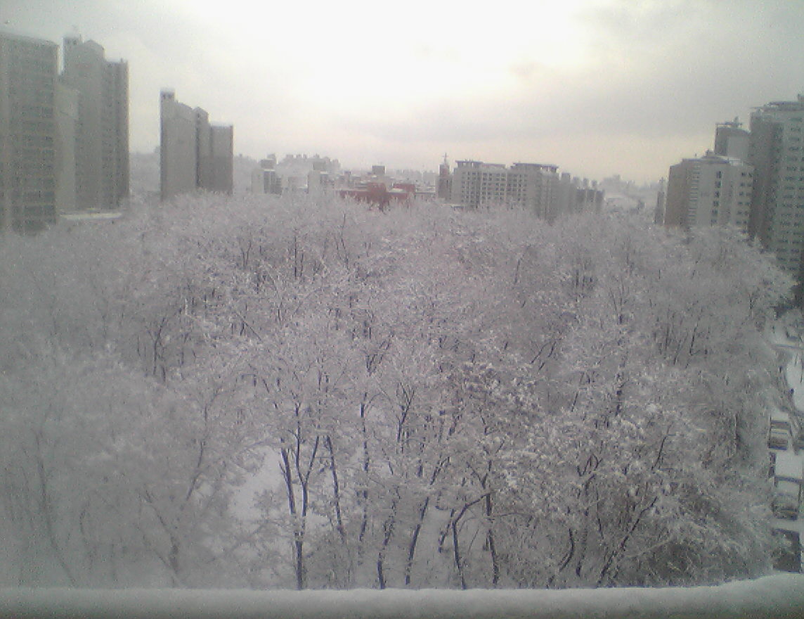 �ܺ����� - ��