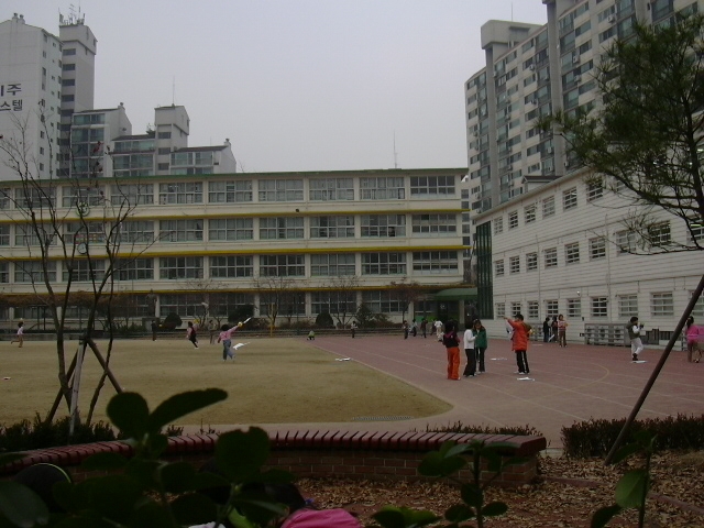 �����ֺ��ü� - �����ü�