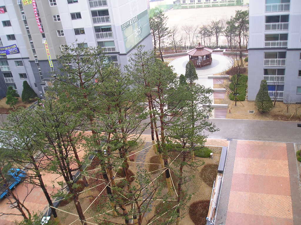 �������� - ������������