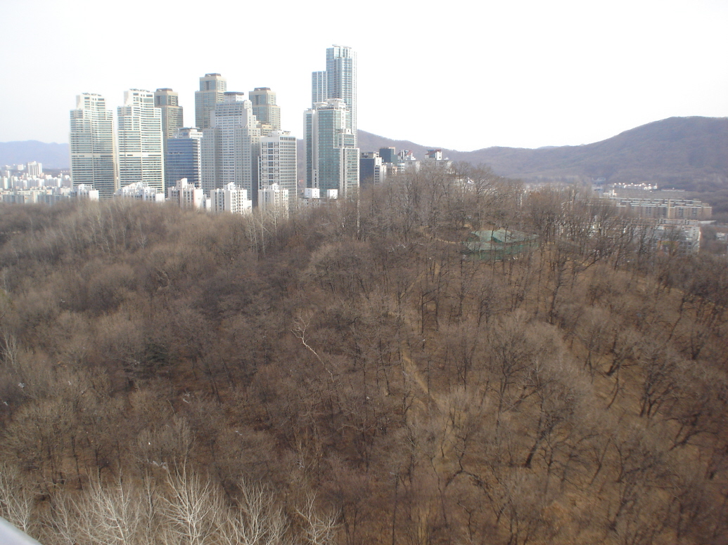 �ܺ����� - ��