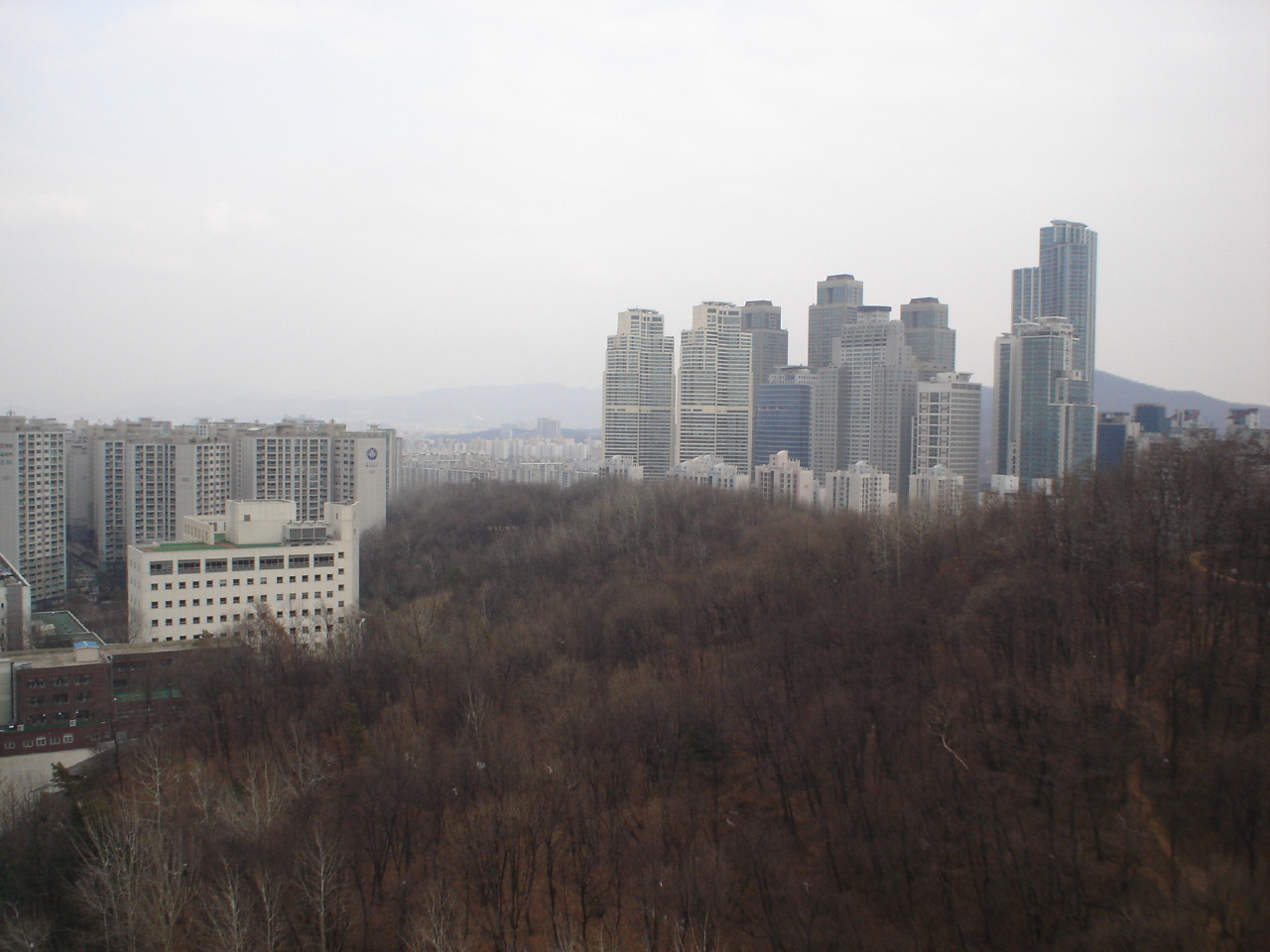 �ܺ����� - ��