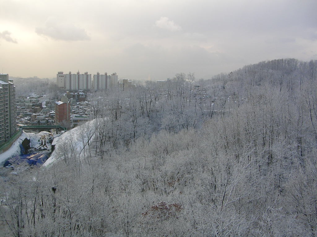 신사씨티 웰빙 아파트 | 부동산뱅크 커뮤니티