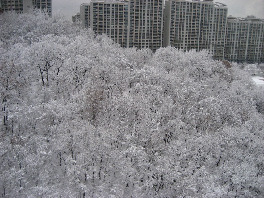 �ܺ����� - ��