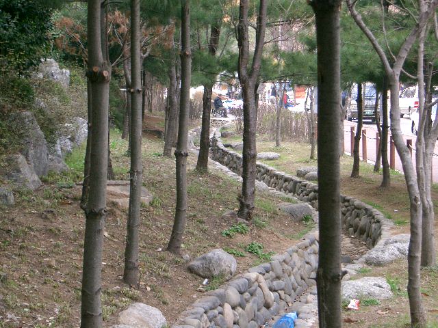 �������ü� - ����ü�