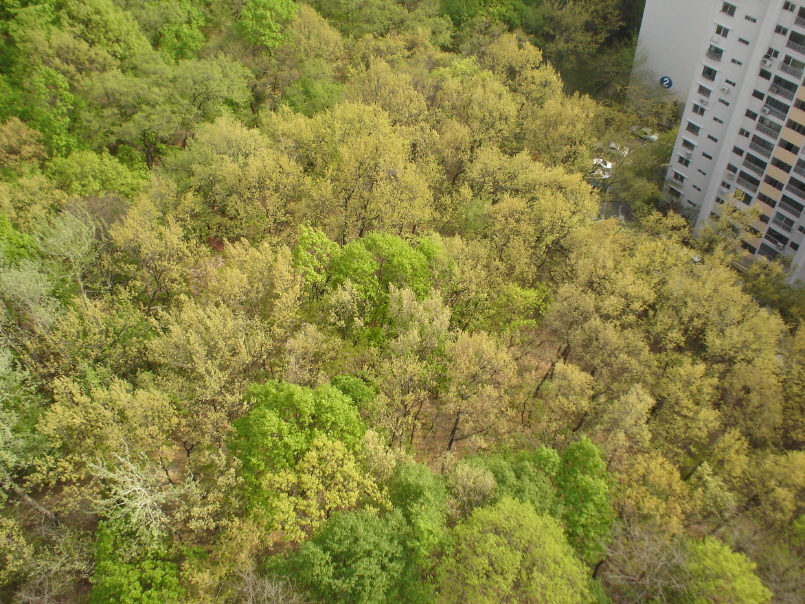 �ܺ����� - ��