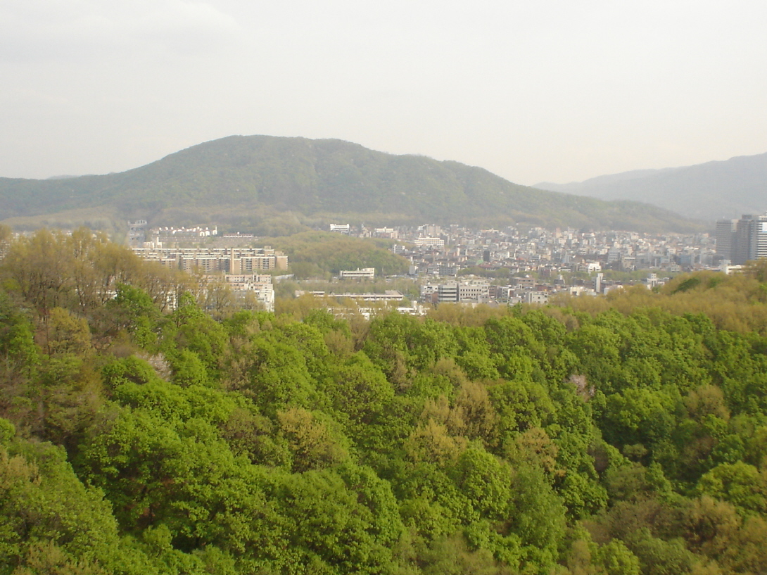 �ܺ����� - ��