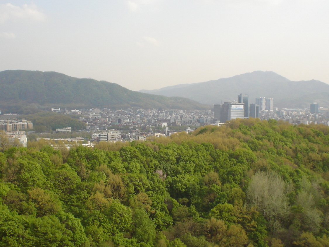 �ܺ����� - ��