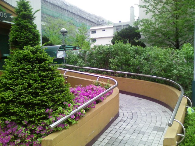 �������� - ������������