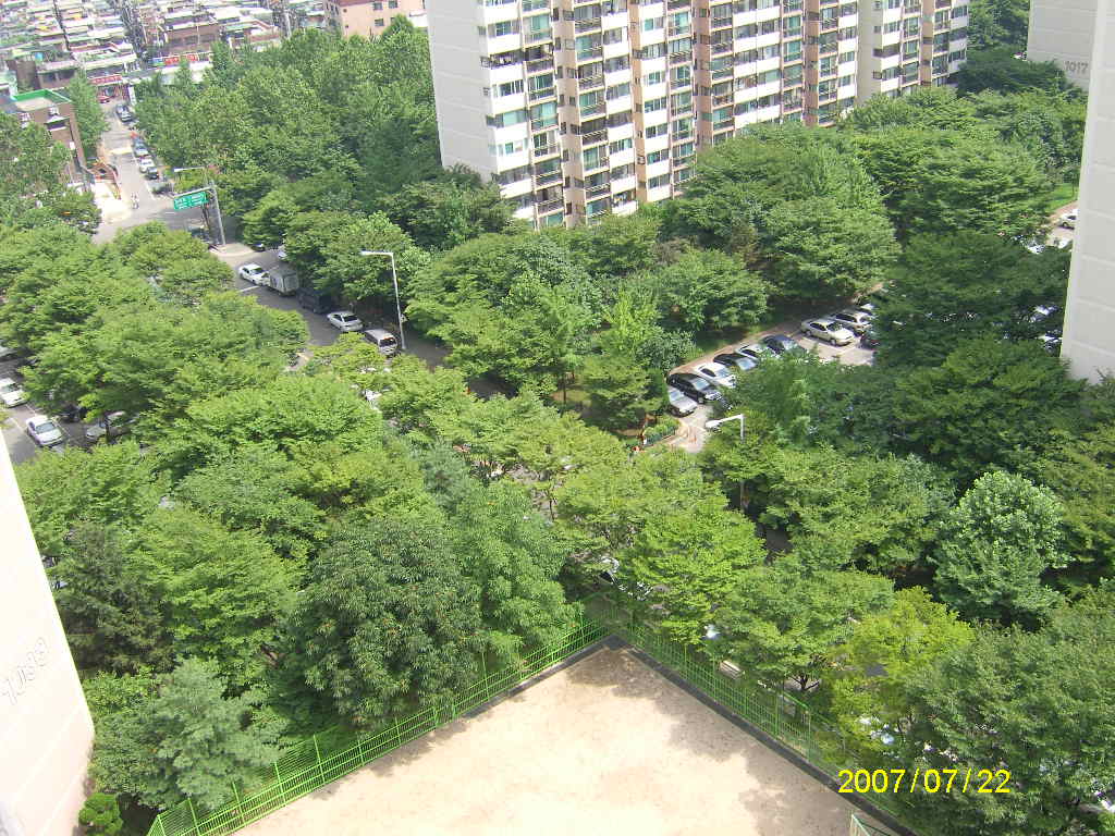 �������ü� - ����ü�