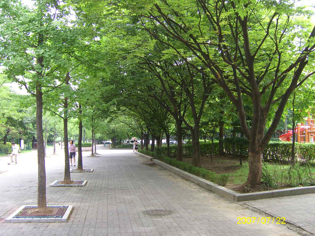 �������ü� - ����ü�