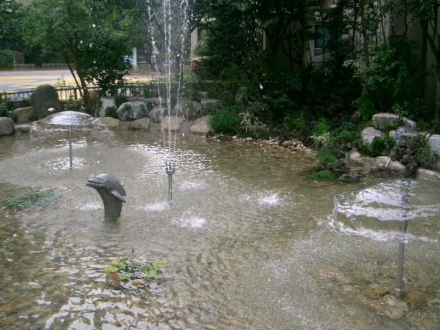 �������� - ������������