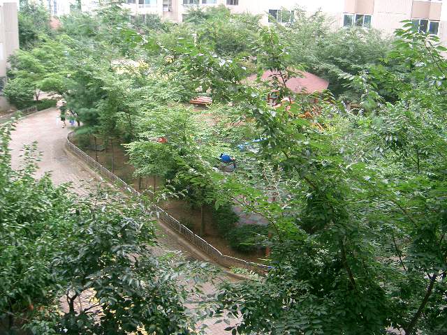 �������ü� - ������